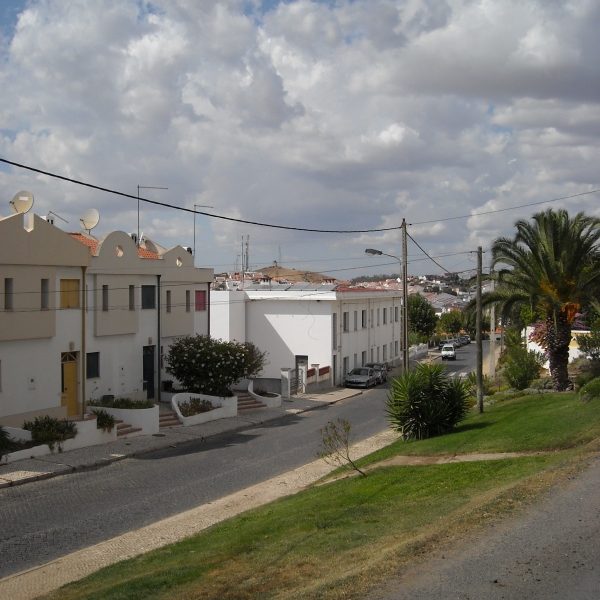 DSCN3001