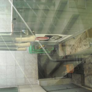 DSCN3535